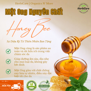 Mật Ong Rừng Nguyên Chất 100%